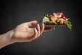 Sandwich with blue cheese, prosciutto and pear garnished with capers and cornichon Royalty Free Stock Photo