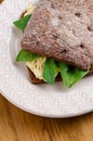 Sandwich bruschetta made from whole grain bread with cheese and spinach. Healthy snack, healthy food Royalty Free Stock Photo