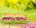 Sandwich Royalty Free Stock Photo