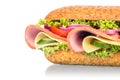 Sandwich Royalty Free Stock Photo