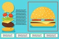 Sandwich burger hamburger ingredients structure