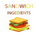 Sandwich and the burger ingredients background.Fast food