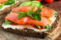 Sandwich with cereals bread and salmon Royalty Free Stock Photo