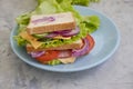 Sandwich with cheese, sausage,  board  breakfast freshness  tomato, lettuce, blue onion on old background Royalty Free Stock Photo