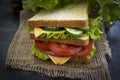 Sandwich with cheese, sausage, delicious natural  board  breakfast freshness  tomato, lettuce, blue onion on old background Royalty Free Stock Photo