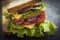 Sandwich  cheese, sausage, gourmet natural  board  breakfast freshness  tomato, lettuce, blue onion on old background Royalty Free Stock Photo