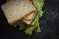 Sandwich cheese, sausage, gourmet natural breakfast freshness tomato, lettuce, blue onion on old background