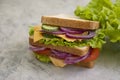 Sandwich with cheese, sausage, hungry freshness tomato, lettuce, blue onion on old background