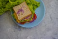 Sandwich with cheese, sausage,  natural  board  breakfast freshness  tomato, lettuce, blue onion on old background Royalty Free Stock Photo