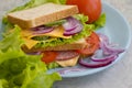 Sandwich with cheese, sausage, lunch   natural  board  breakfast freshness  tomato, lettuce, blue onion on old background Royalty Free Stock Photo