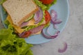 Sandwich with cheese, sausage, tasty natural board breakfast freshness tomato, lettuce, blue onion on old background