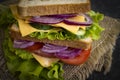 Sandwich with cheese, sausage,  freshness  tomato, lettuce, blue onion on old background Royalty Free Stock Photo