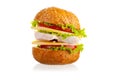 Sandwich with the chicken, cheese and vegetables. Royalty Free Stock Photo