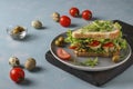 Sandwich with chicken, cherry tomatoes, quail eggs and microgreens against a light blue background, Copy space Royalty Free Stock Photo