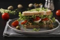 Sandwich with chicken, cherry tomatoes, quail eggs, olives and microgreens against a dark background Royalty Free Stock Photo