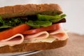 Sandwich chicken ham