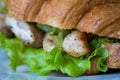 Sandwich with chicken Royalty Free Stock Photo
