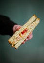 Sandwich with chiken and cheese in hand, blue background