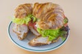 Sandwich of croissant of lettuce, tomato and smoked turkey