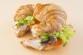 Sandwich of croissant of lettuce, tomato and smoked turkey Royalty Free Stock Photo