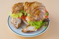 Sandwich of croissant of lettuce, tomato and smoked turkey