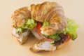 Sandwich of croissant of lettuce, tomato and smoked turkey