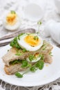 Sandwich with egg and cress Royalty Free Stock Photo