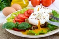 Sandwich with egg poached, lettuce, black bread with seeds, tomatoes, sweet pepper on a plate Royalty Free Stock Photo