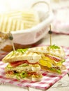 Sandwich with egg tomato cucumber bacon and a sauce Royalty Free Stock Photo