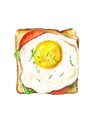 Sandwich with egg, tomatoes, paprika,watercolor illustration,food art.