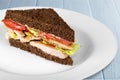 Sandwich Royalty Free Stock Photo