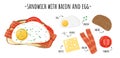 Sandwich elements. Tasty ingredients layers on toasted bread, breakfast snack recipe, fried egg, slicing cheese