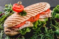 Sandwich with fillet grilled chicken, fresh vegetables, cheese and greens on black shale board over black stone background Royalty Free Stock Photo