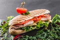 Sandwich with fillet grilled chicken, fresh vegetables, cheese and greens on black shale board over black stone background Royalty Free Stock Photo