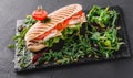 Sandwich with fillet grilled chicken, fresh vegetables, cheese and greens on black shale board over black stone background Royalty Free Stock Photo