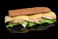 Sandwich with fillet grilled chicken, fresh vegetables, cheese and greens, isolated on black background. Royalty Free Stock Photo