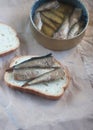 Sandwich with fish canned food Royalty Free Stock Photo