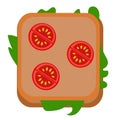 Sandwich flat illustration on white