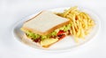 Sandwich with french fries