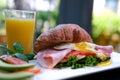 Sandwich bread with tomatoes, lettuce and yellow cheese Sandwich fresh croissant with red fish, soft cheese and greens Royalty Free Stock Photo