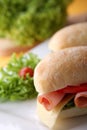 Sandwich with fresh vegetables, ham and cheese Royalty Free Stock Photo