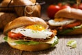 Sandwich with a fried egg, bacon and cheese Royalty Free Stock Photo