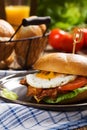 Sandwich with a fried egg, bacon and cheese Royalty Free Stock Photo