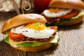 Sandwich with a fried egg, bacon, cheese and vegetables Royalty Free Stock Photo