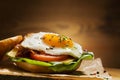 Sandwich with a fried egg, bacon, cheese and vegetables Royalty Free Stock Photo