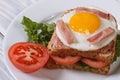 Sandwich with a fried egg, bacon Royalty Free Stock Photo