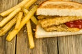 Sandwich with fries on clean plate, empty left side perfect for placing a slogan or message Royalty Free Stock Photo