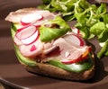 Sandwich with gammon ham, lettuce, radish and cucumber Royalty Free Stock Photo