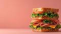 A sandwich with ham, cheese, lettuce, and tomato on a pink background Royalty Free Stock Photo