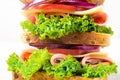 sandwich with ham cheese tomatoes lettuce onions. Macro of multi-layer sandwich with whole grain bread Royalty Free Stock Photo